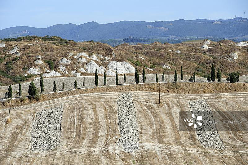 锡耶纳以南的景观：比安卡内，圆顶形地貌，位于意大利托斯卡纳 Crete Senesi图片素材