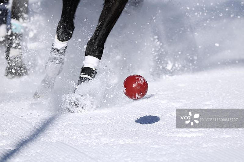 雪地马球世界杯，奥地利基茨比厄尔图片素材