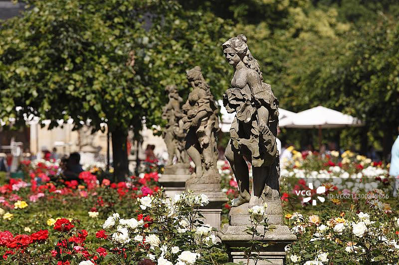 新官邸玫瑰园，位于德国巴伐利亚州班贝格图片素材