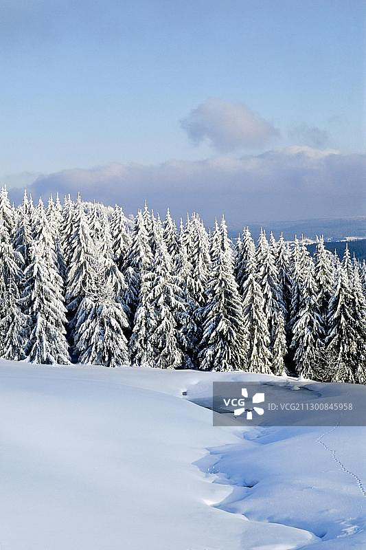 图林根森林伦施泰格小径冬季景观图片素材