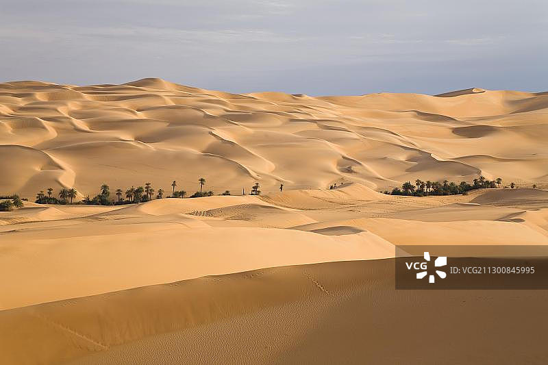 利比亚沙漠的乌姆埃尔马绿洲和沙丘，位于利比亚，撒哈拉，北非，非洲图片素材