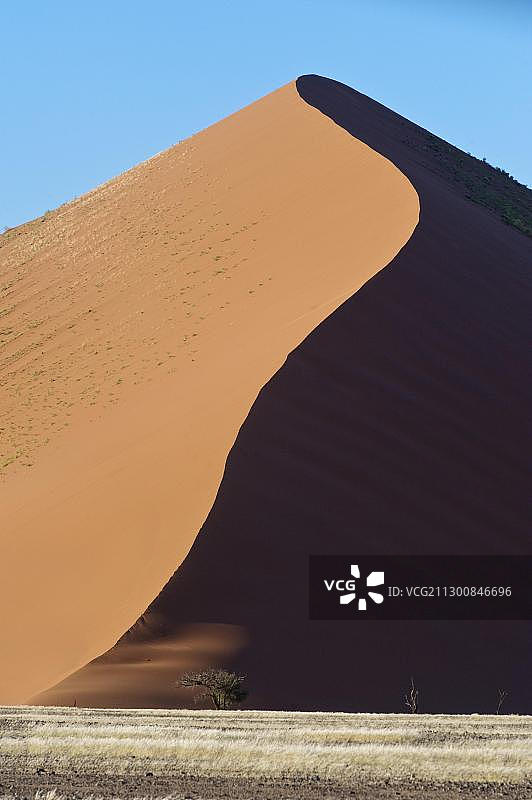 纳米比亚中央纳米布沙漠红沙丘脊图片素材
