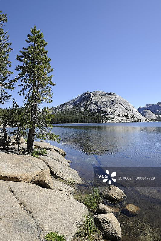 美国加利福尼亚州优胜美地国家公园特纳亚湖的清晨图片素材