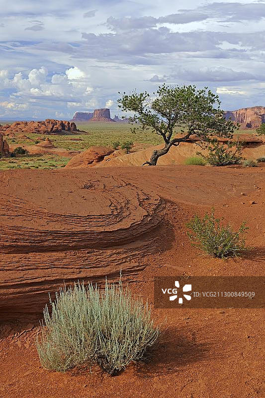 美国亚利桑那州神秘谷的典型景观图片素材