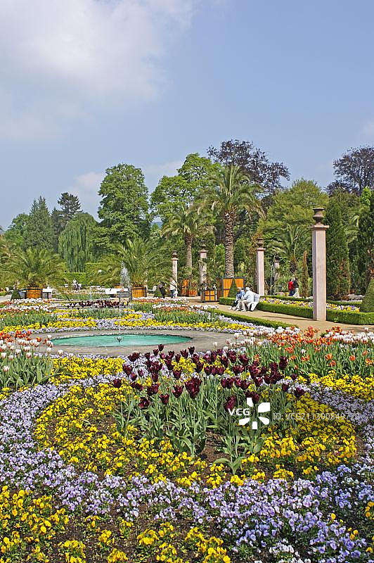 德国下萨克森州巴特皮尔蒙特的库尔公园棕榈花园温泉公园图片素材