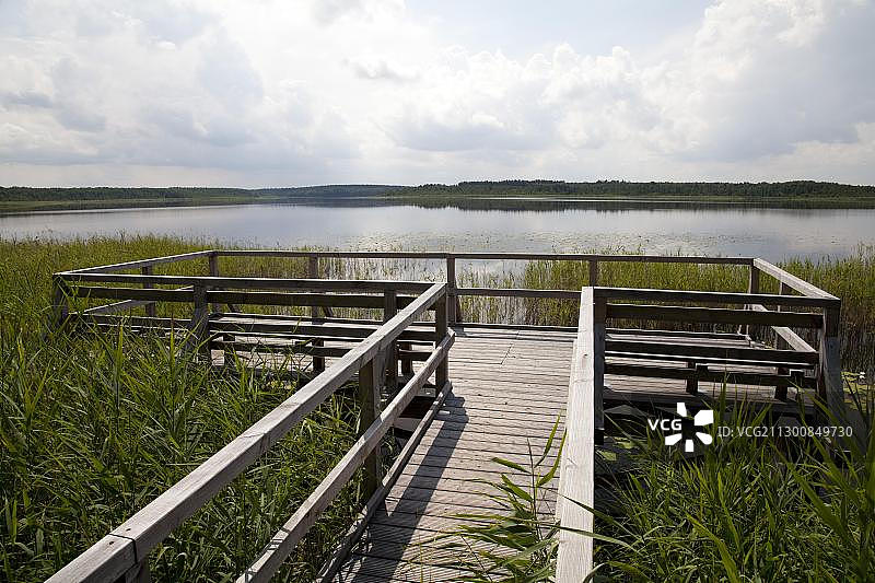 位于德国梅克伦堡-西波美拉尼亚州米里茨国家公园普里斯特贝克湖的瞭望台图片素材