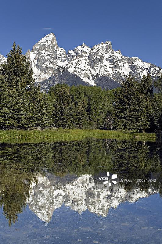 施瓦巴克登陆点附近的海狸湖，背景是提顿山脉，美国怀俄明州大提顿国家公园图片素材