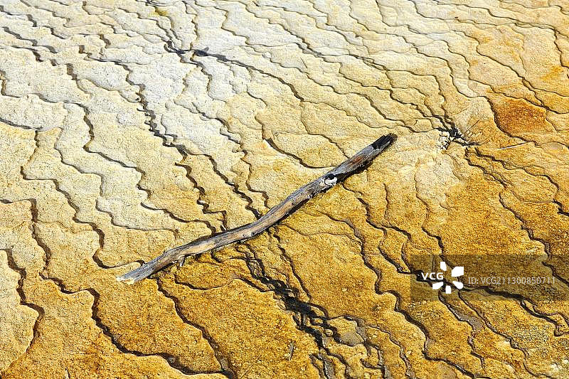 黄石国家公园猛犸温泉区的新蓝泉台地排水区，怀俄明州，美国，北美图片素材