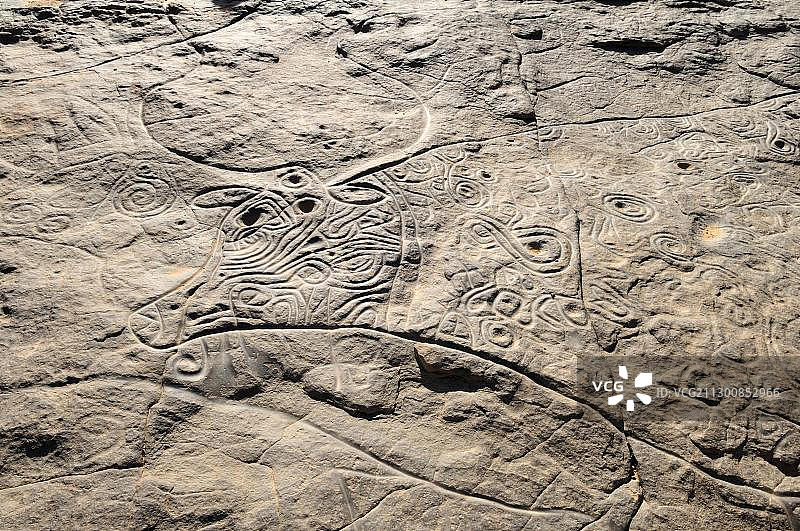 著名的卷毛牛的岩石雕刻，廷特赫特的石器时代岩画，塔西利阿杰尔国家公园，联合国教科文组织世界遗产，伊利齐省，阿尔及利亚，撒哈拉，北非，非洲图片素材