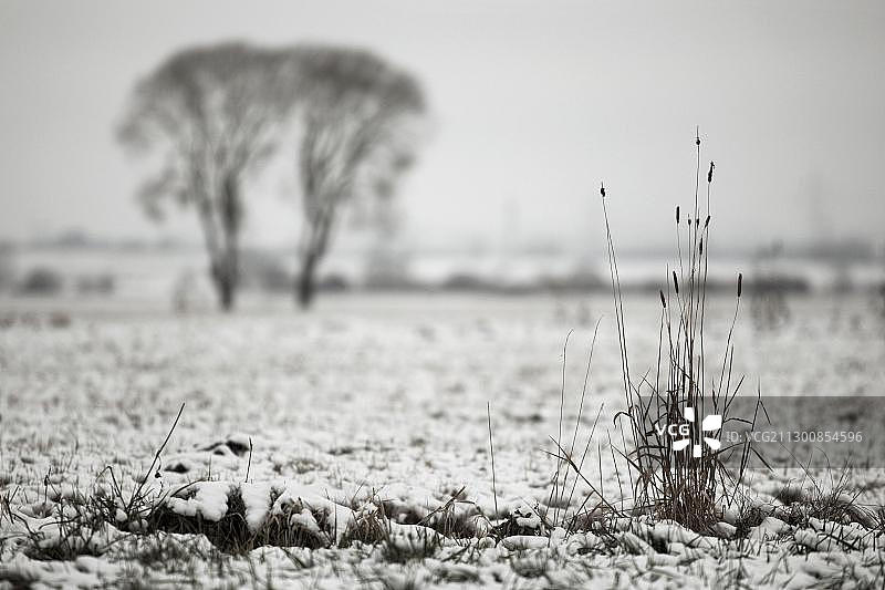 德国巴登-符腾堡州多瑙埃兴根多瑙河谷图片素材