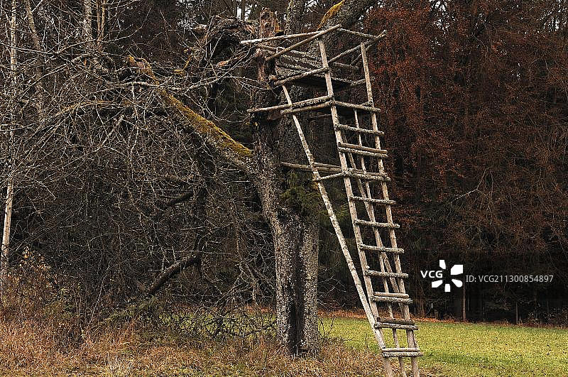 在老果树上抬起的狩猎小屋，德国巴伐利亚图片素材