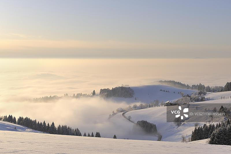 从绍因斯兰山看到的覆盖着积雪的明斯特山谷景色，德国巴登-符腾堡图片素材