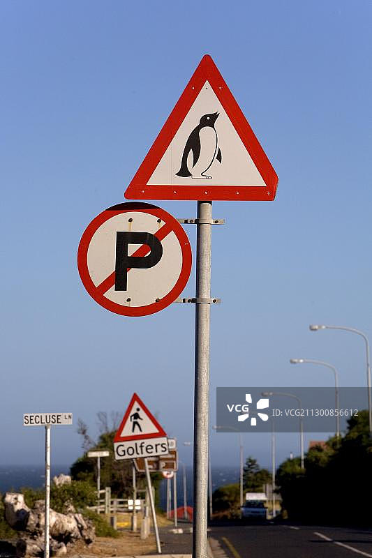 南非西开普省西蒙镇的企鹅穿越警告交通标志图片素材