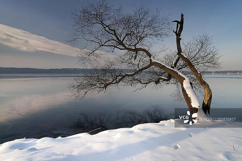 德国梅克伦堡-前波美拉尼亚州托伦塞湖的冬季图片素材