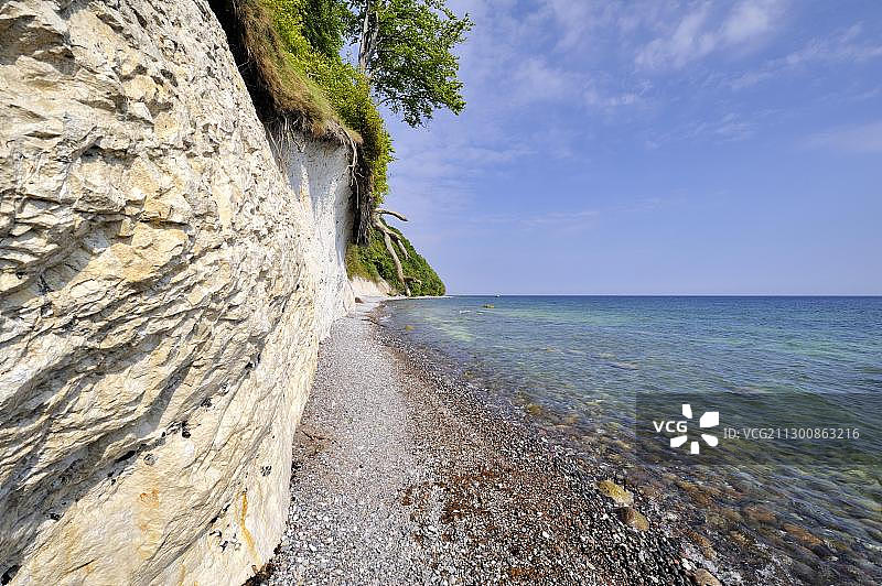 波罗的海的砾石海滩和白垩悬崖，亚斯蒙德国家公园，德国梅克伦堡-西波美拉尼亚吕根岛图片素材