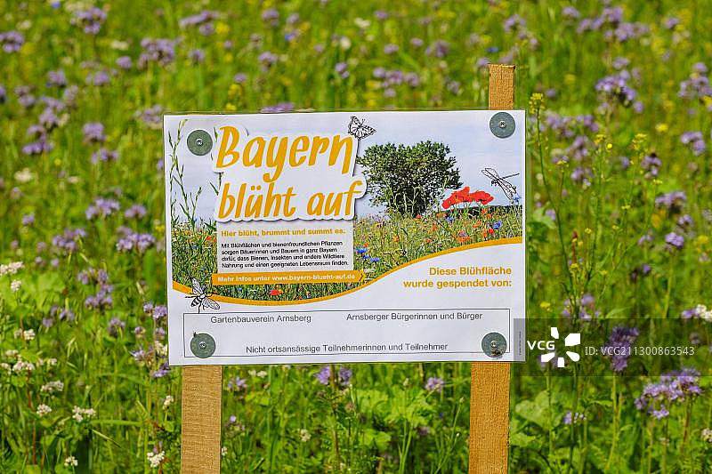 牌匾：巴伐利亚盛开，阿尔恩斯贝格附近花卉草地，德国图片素材