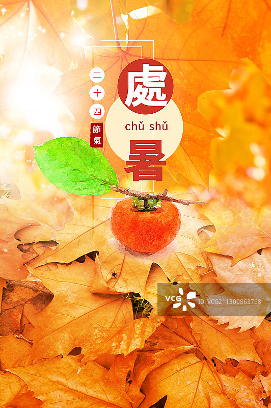 处暑季节一颗柿子掉落在铺满枯叶的地上图片素材