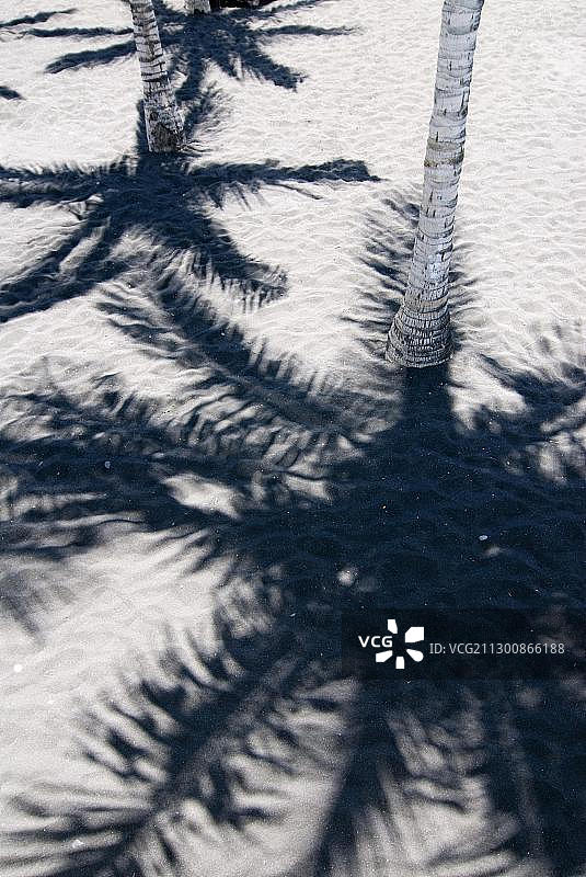 西班牙拉帕尔马岛海滩上的阴影图片素材