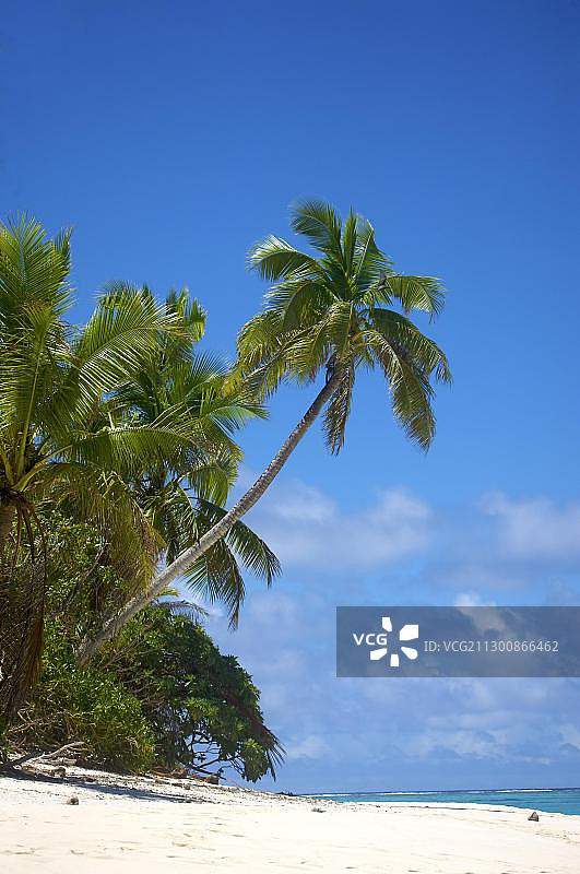 斐济群岛纳努库列夫岛风光图片素材