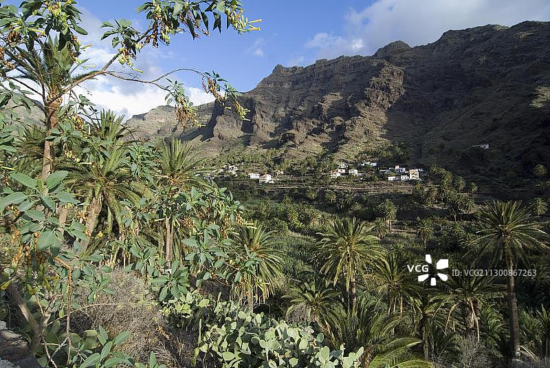 西班牙戈梅拉岛山谷中的棕榈树和房屋图片素材