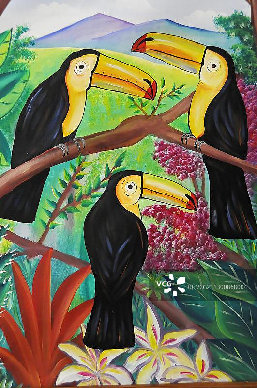 尼加拉瓜圣胡安德尔苏尔酒店的巨嘴鸟绘画图片素材