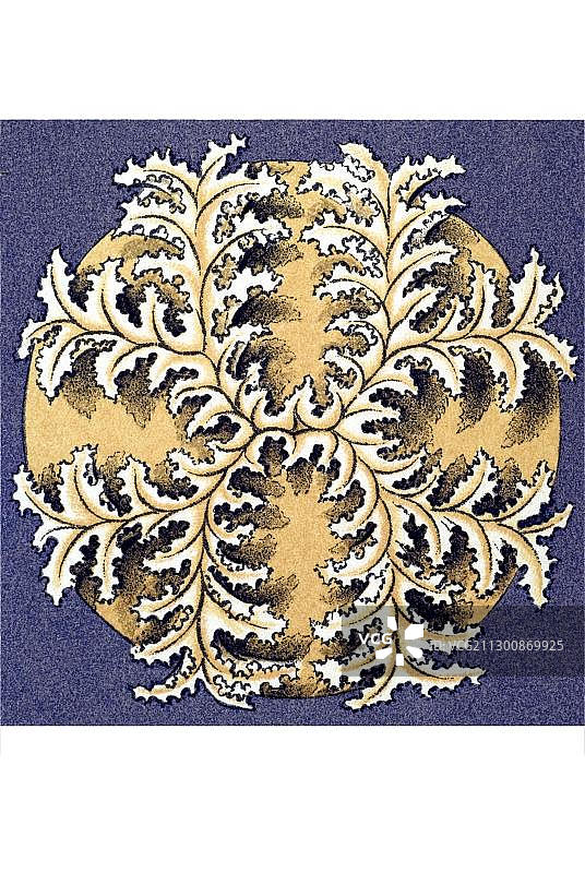 水母口器历史插画图片素材