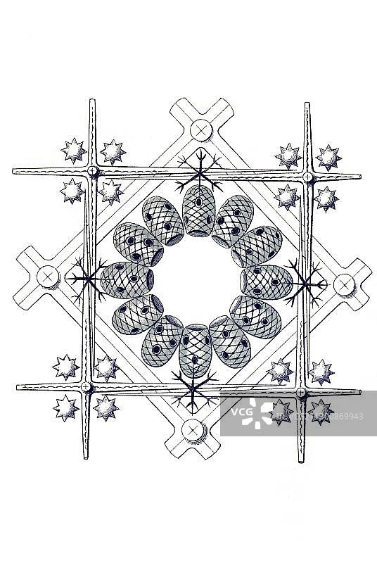 恩斯特·海克尔的六放海绵历史插画图片素材