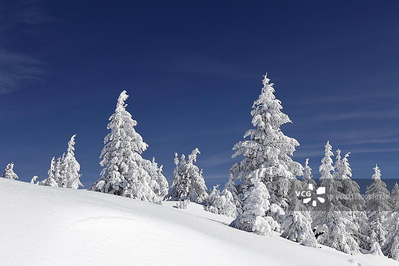 加米施-帕滕基兴附近雪覆云杉冬季风景，德国巴伐利亚图片素材