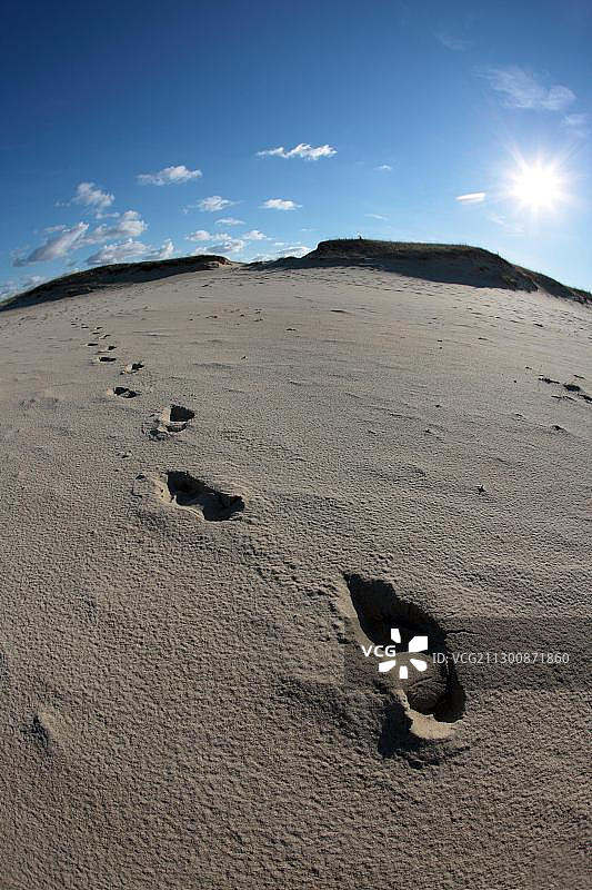 立陶宛库罗尼安沙嘴国家公园寂静谷的沙丘景观小路图片素材