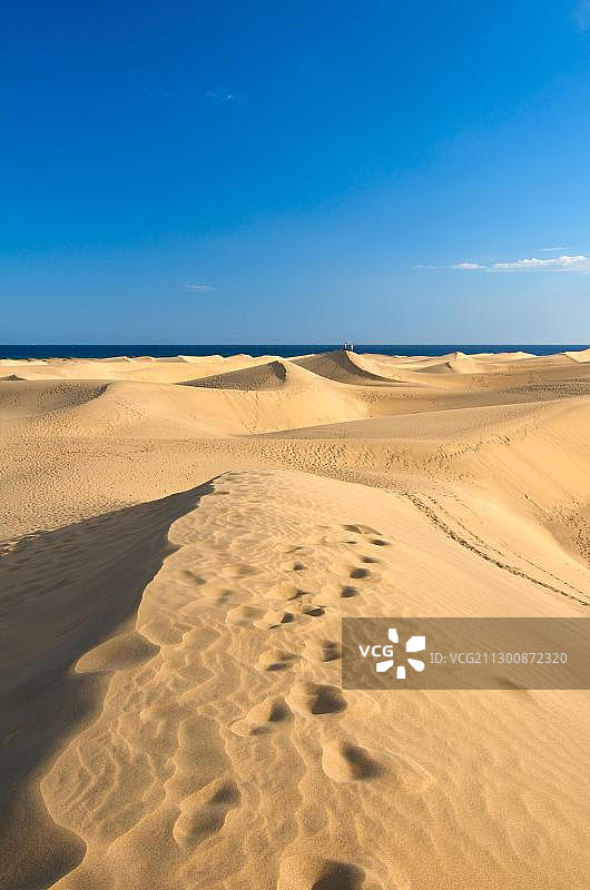西班牙加那利群岛的马斯帕洛马斯沙丘图片素材