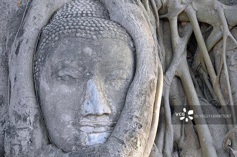 泰国阿瑜陀耶玛哈泰寺的菩提树根包裹的砂岩佛像头部图片素材