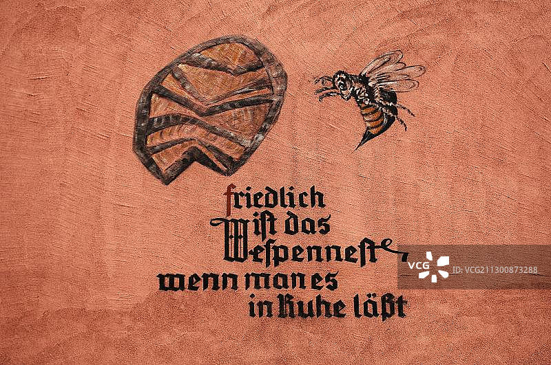 房子墙壁上的黄蜂，德国巴伐利亚州，纽伦堡图片素材