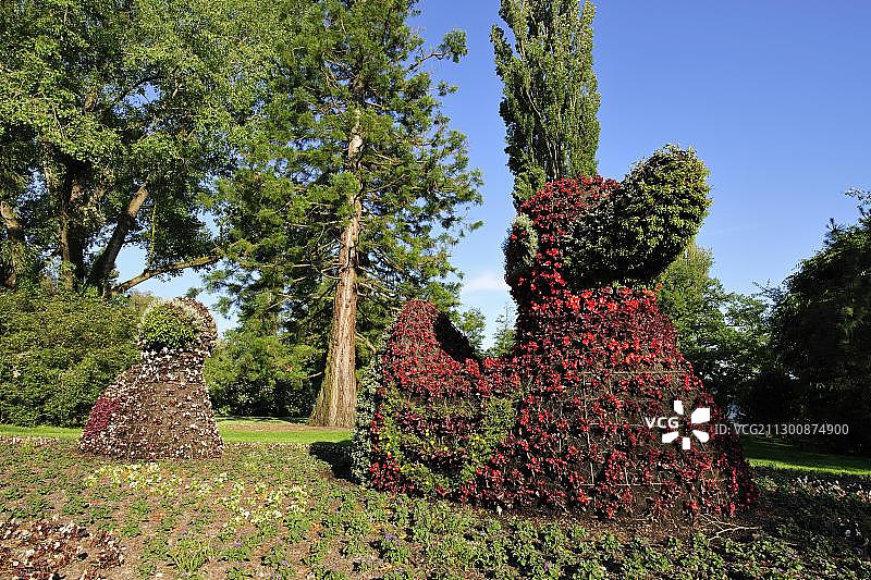 花卉雕塑：位于德国美瑙岛康斯坦茨湖入口处的鸭子图片素材
