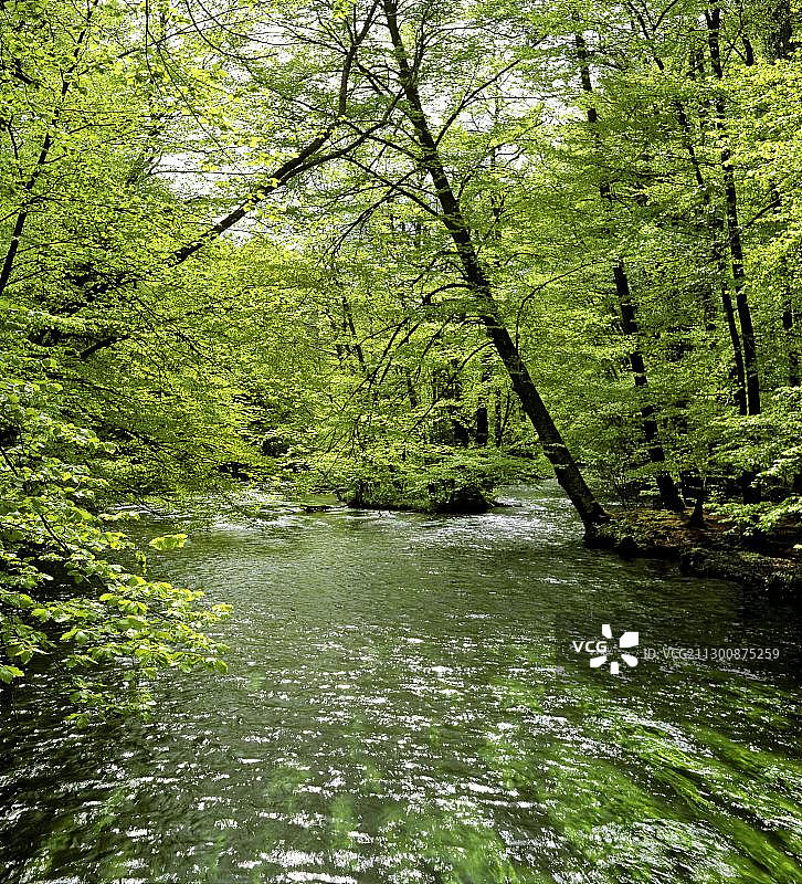 德国巴伐利亚州施塔恩贝格和 Gauting 之间的 Wuerm 河，Muehltal 山谷，河流景观，春季，上巴伐利亚图片素材