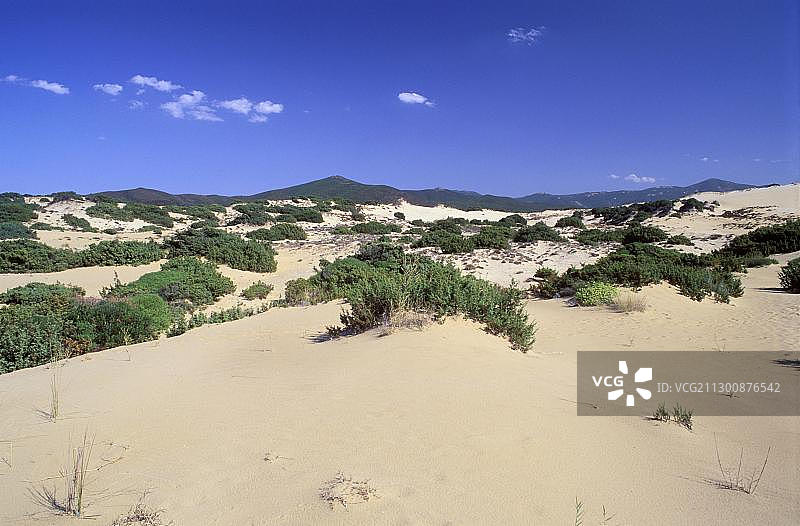 意大利撒丁岛阿尔布斯滨海科斯塔韦德的沙丘图片素材