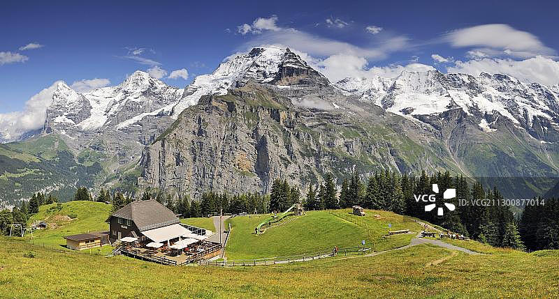 从Allmendhubel山观看伯尔尼高地艾格峰、僧侣峰和少女峰的全景，瑞士伯尔尼州，欧洲图片素材