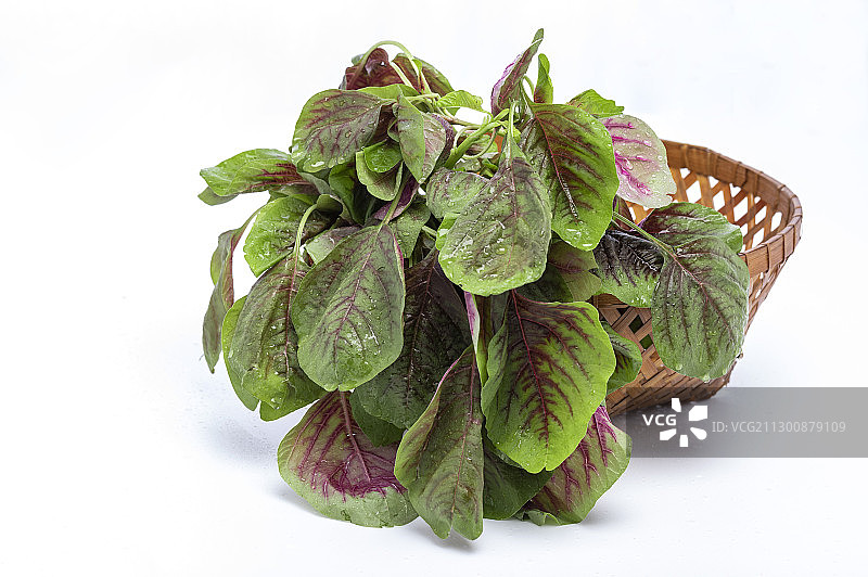 篮子里放着许多新鲜的红苋菜图片素材