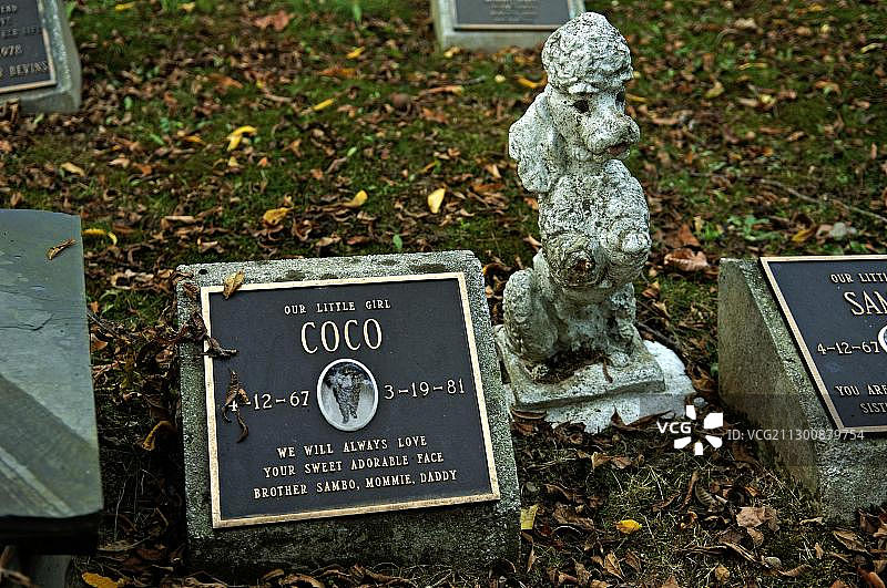 宠物墓地贵宾犬雕像图片素材