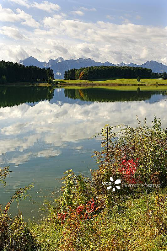 德国巴伐利亚施瓦本的福尔根湖和坦海姆山脉图片素材