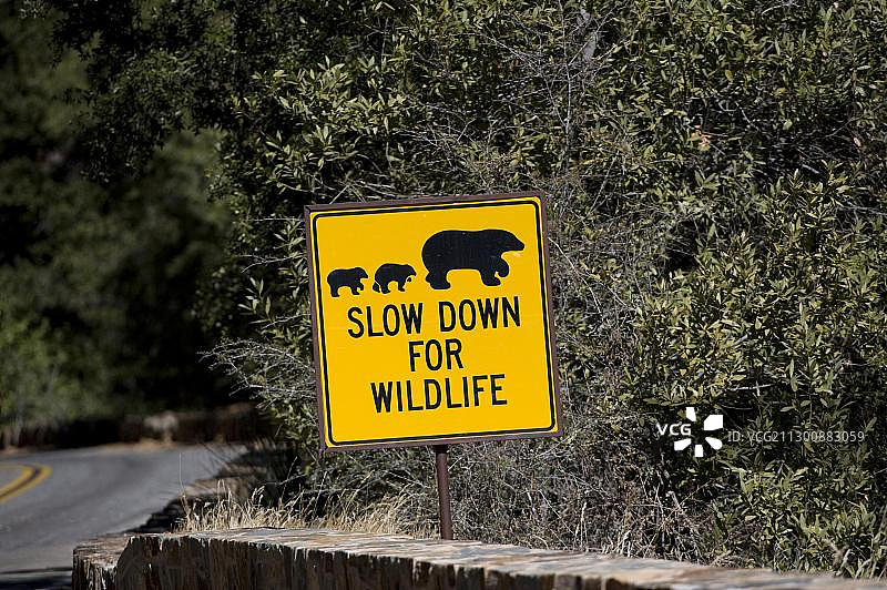 “减速避让野生动物”警告标志，野生动物通道，美国加利福尼亚州红杉国家公园图片素材
