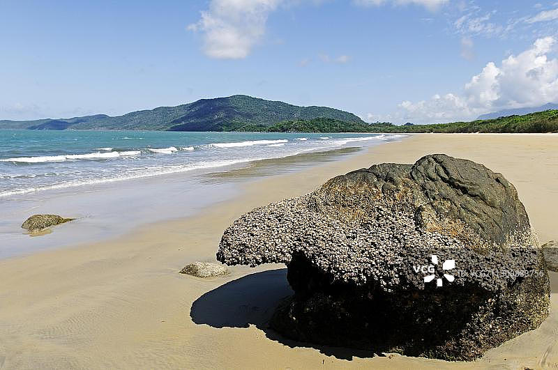 澳大利亚昆士兰欣钦布鲁克岛的覆贝石头图片素材