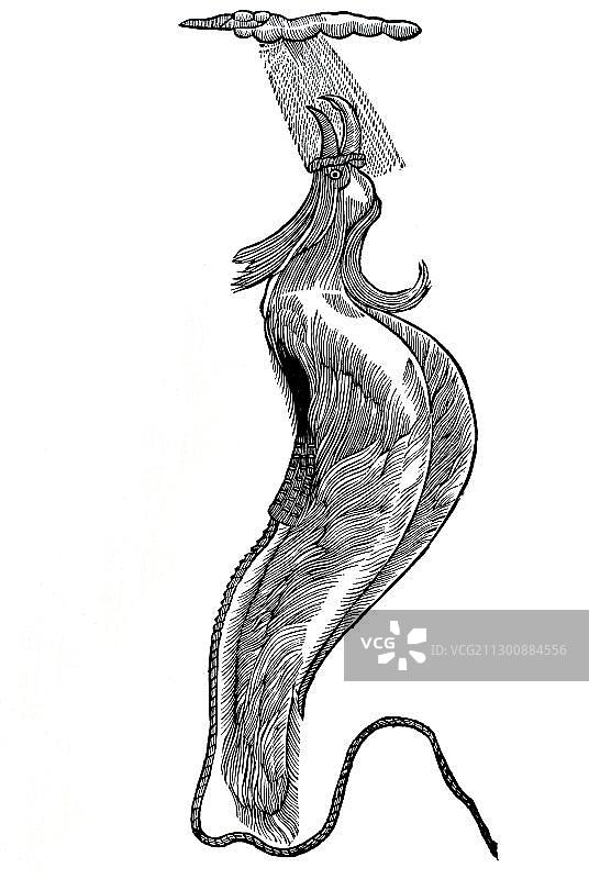 木刻，天堂鸟，选自康拉德·格斯纳《动物史》，1551年，德国，欧洲图片素材