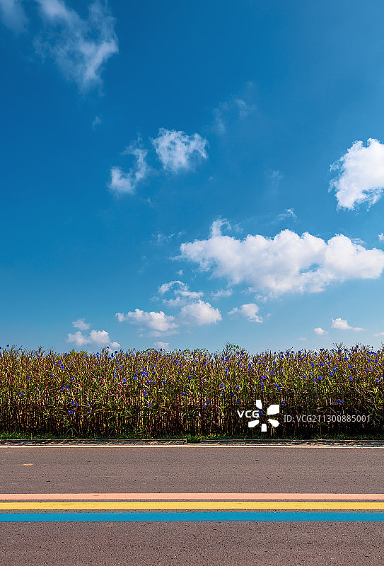 彩虹路图片素材