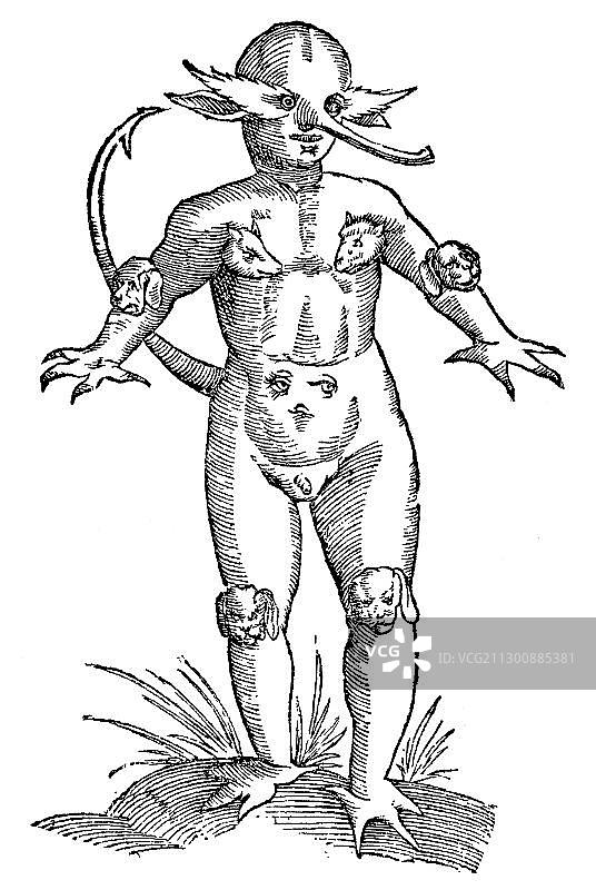 文艺复兴时期多头畸形婴儿木刻插图图片素材