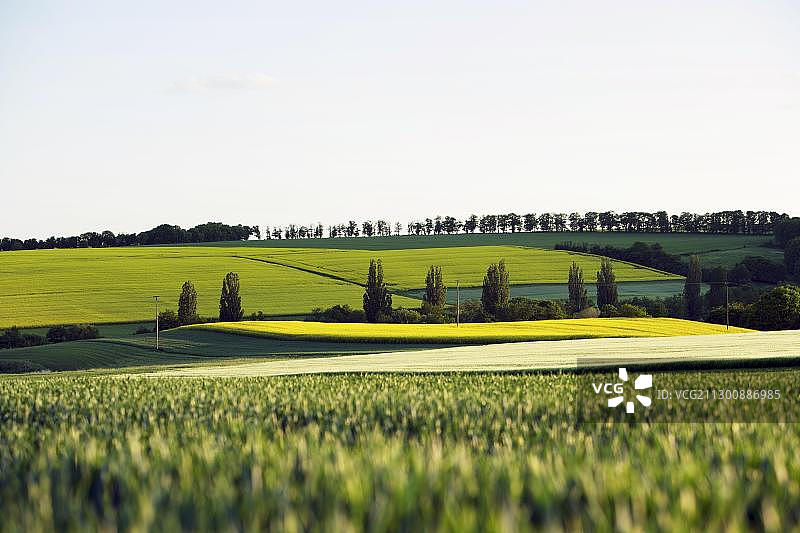 德国莱茵兰-普法尔茨贝恩豪森的典型北部普法尔茨农业景观图片素材