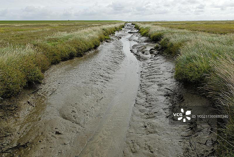 德国石勒苏益格-荷尔斯泰因瓦登海国家公园排水沟渠图片素材
