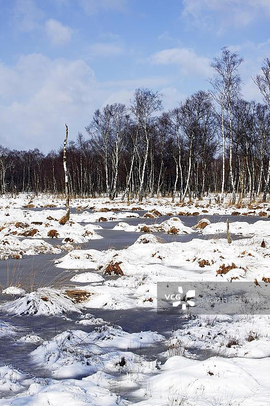 德国石勒苏益格-荷尔斯泰因州冬季雪地沼泽图片素材