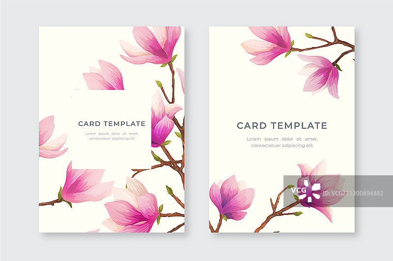 带有玉兰花的贺卡图片素材