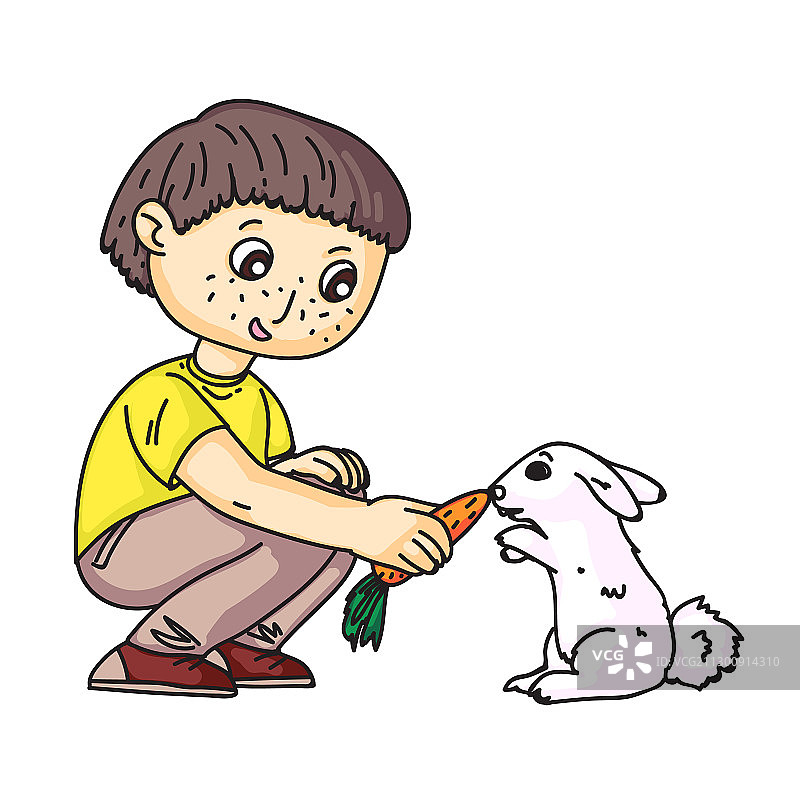 小男孩喂兔子吃胡萝卜图片素材