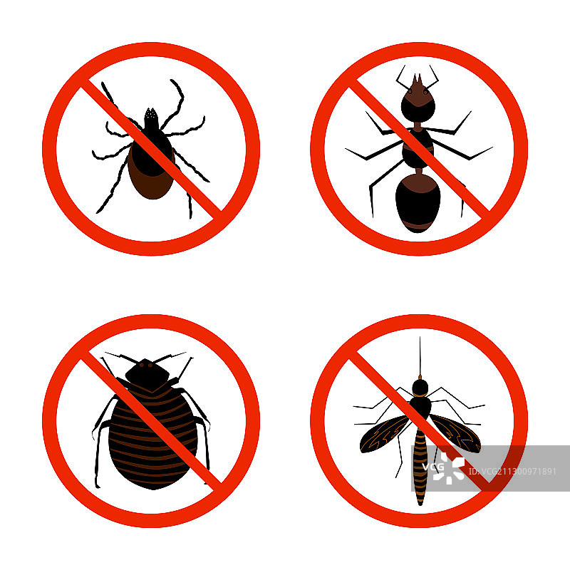 有害昆虫图标集，隔离在白色上图片素材